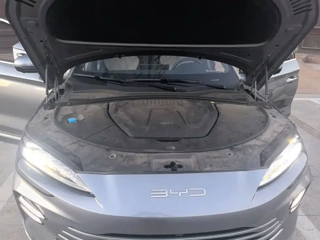BYD PLUS New Energy — миниатюра 11