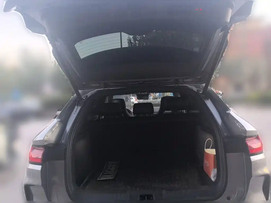 BYD PLUS New Energy — миниатюра 10