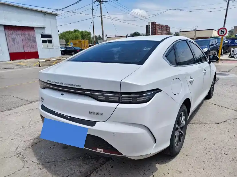 BYD Destroyer 05 2024 DM-i 55KM Luxury