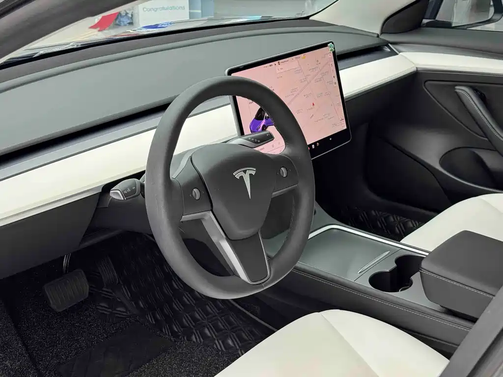 Tesla Model 3 2021 3D6