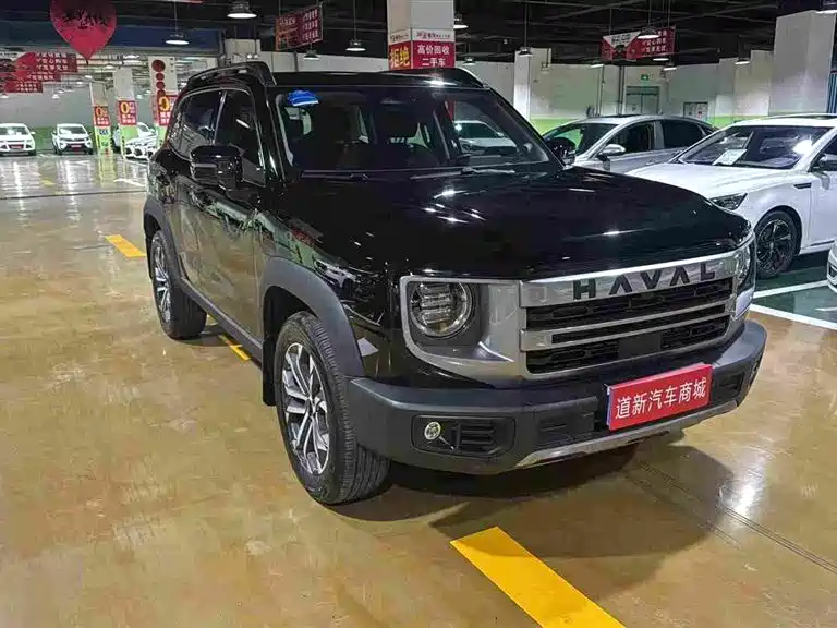 Haval Big Dog — миниатюра 2