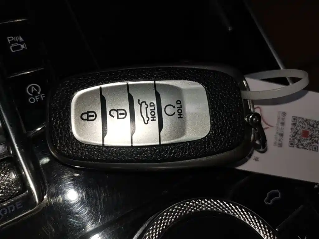 Hongqi H9 2022 2.0T