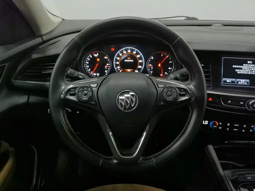 Buick Regal — миниатюра 11