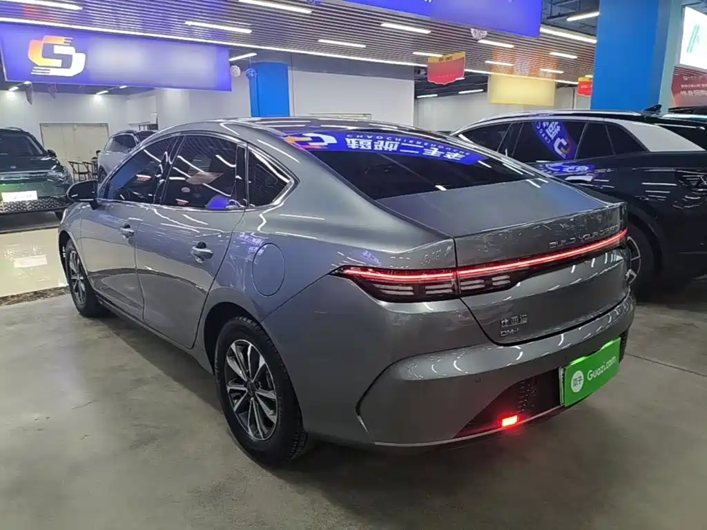 BYD Destroyer 05 2023 Champion DM-i 55KM Luxury
