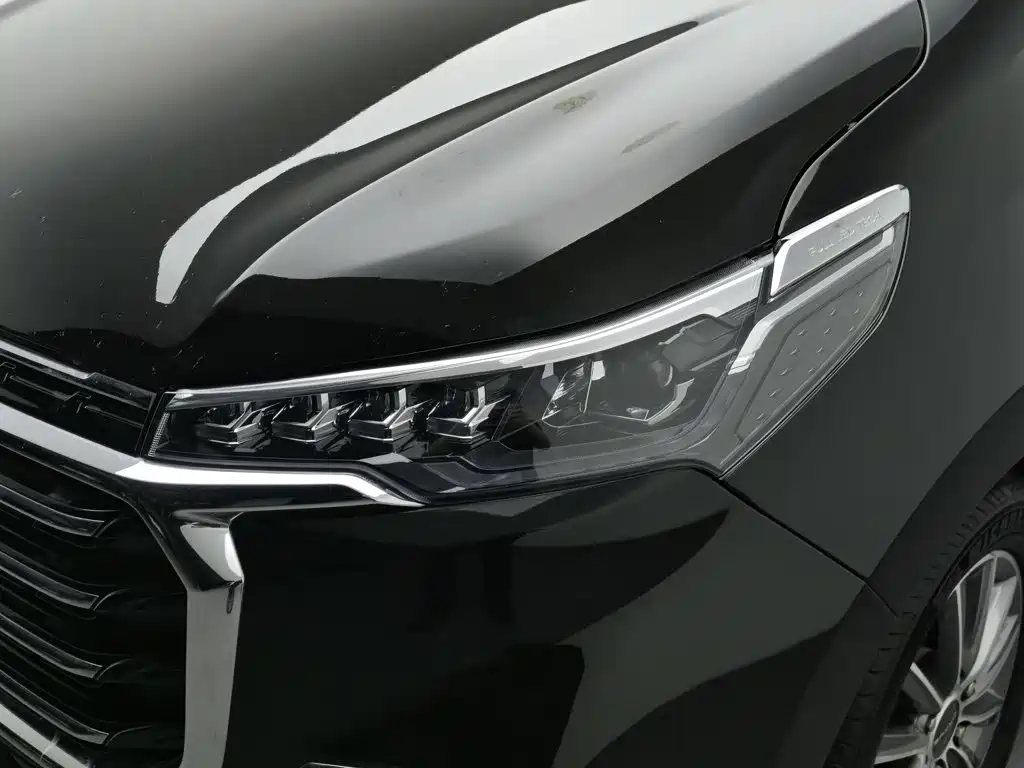 MAXUS G20 — миниатюра 7