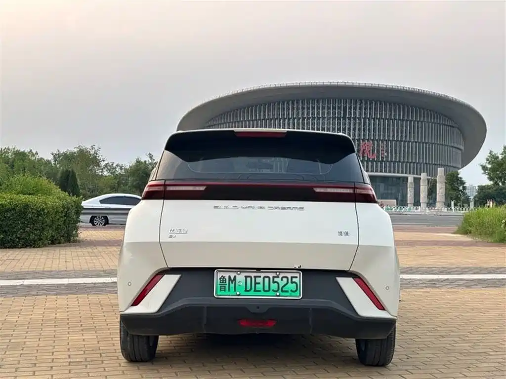 BYD Seagull
