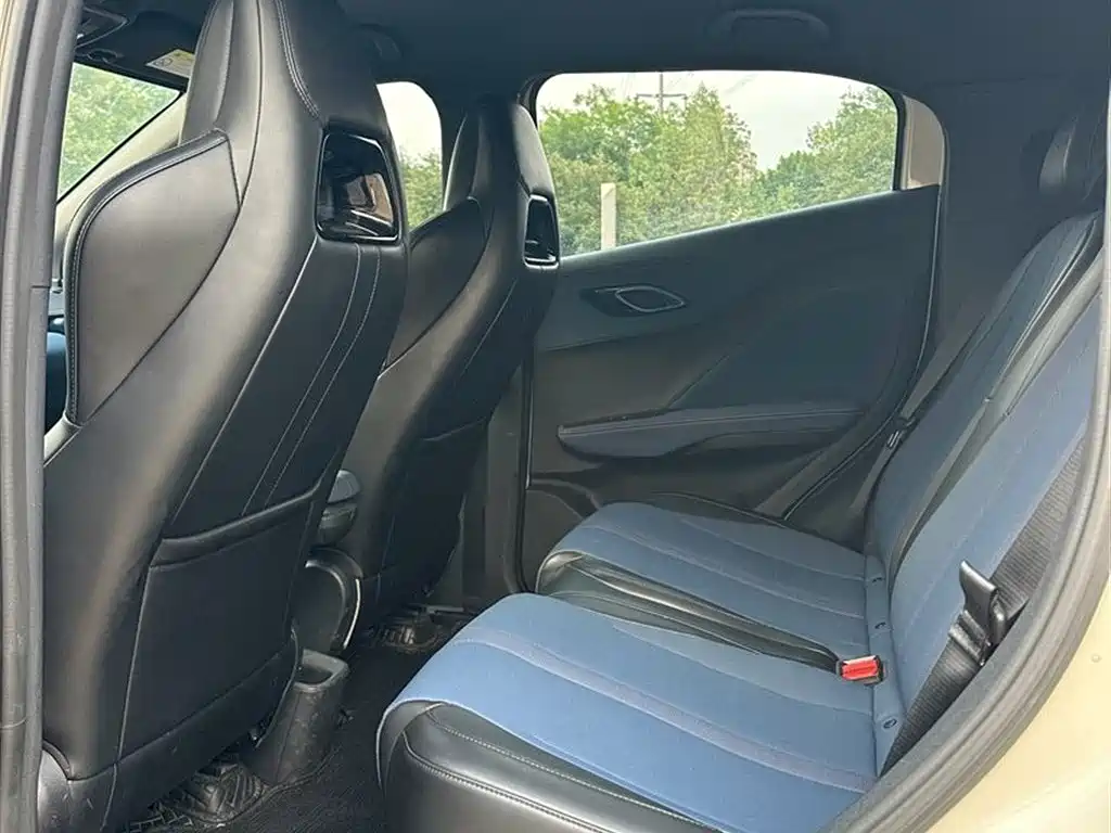 BYD Seagull