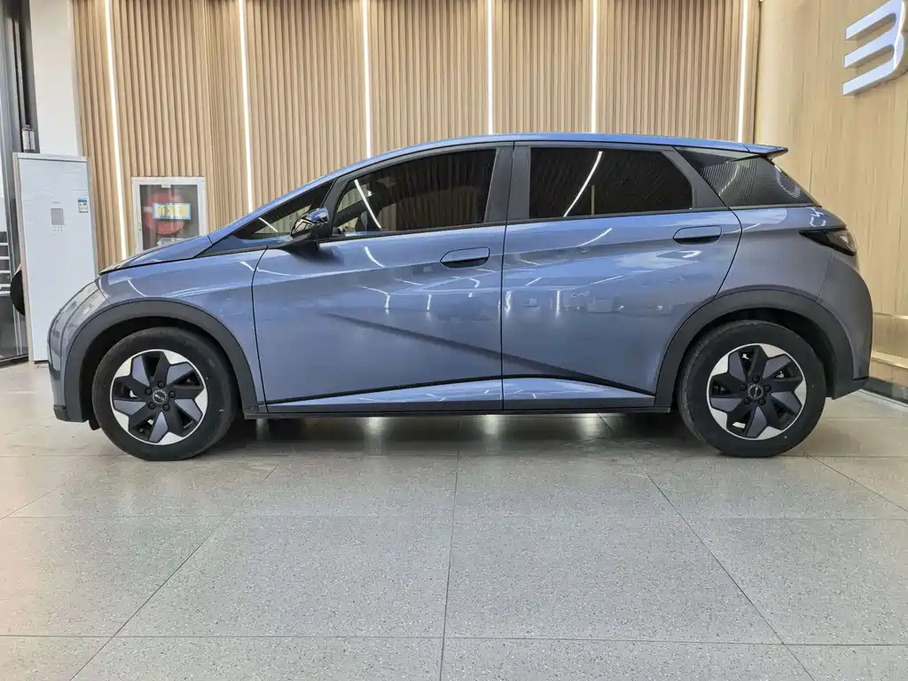 BYD Dolphin — миниатюра 2