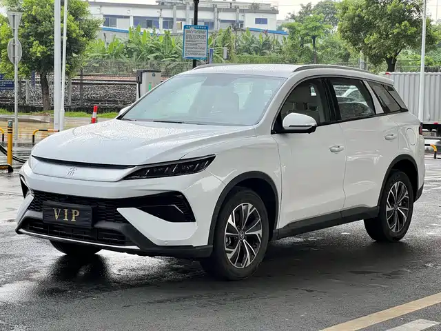 BYD SONGJIANG NEW ENERGY 2025
