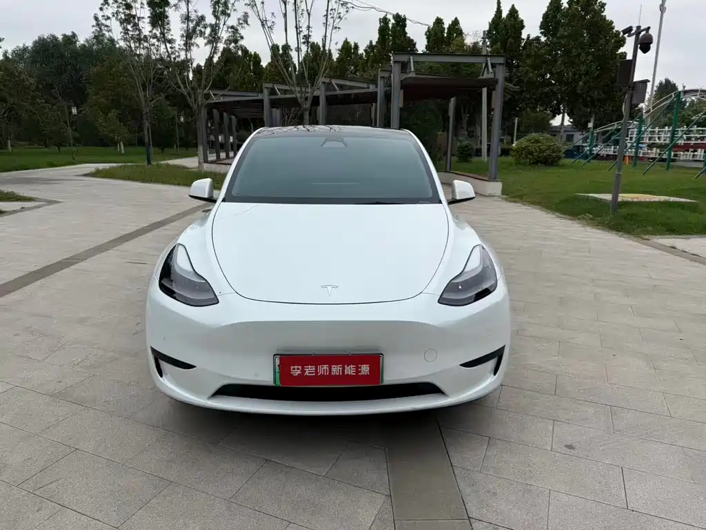 Tesla Model Y — миниатюра 3