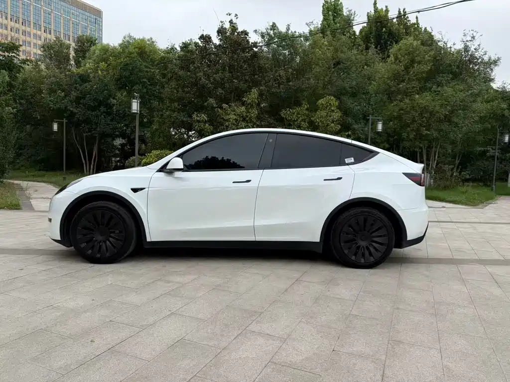 Tesla Model Y — миниатюра 6