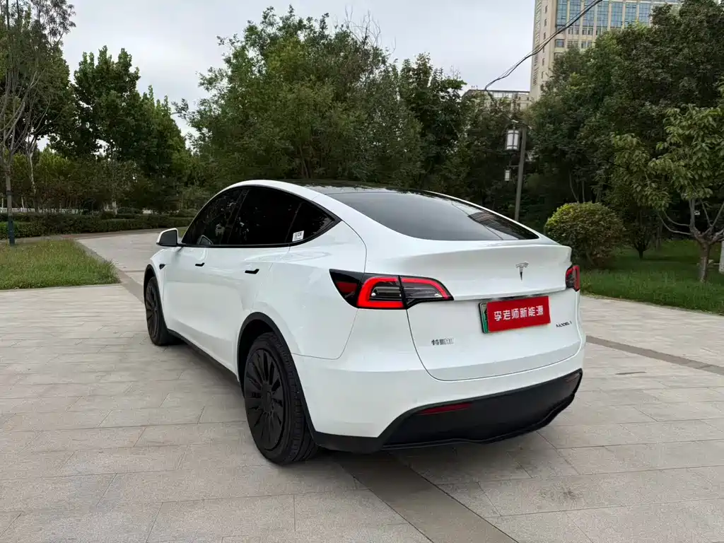Tesla Model Y — миниатюра 7