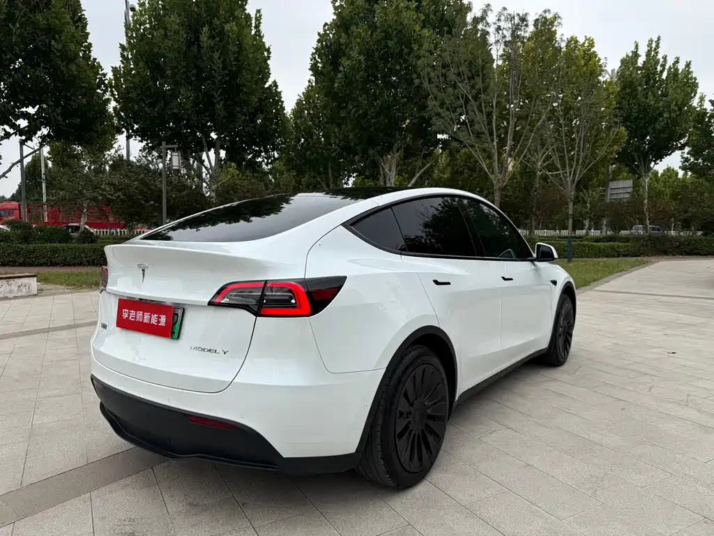 Tesla Model Y — миниатюра 9