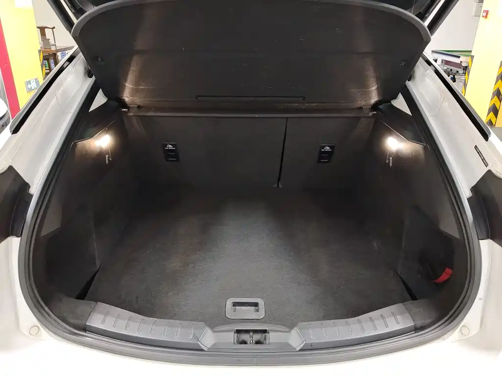 Ford Evos EcoBoost 245 Elegant Edition, фото 13