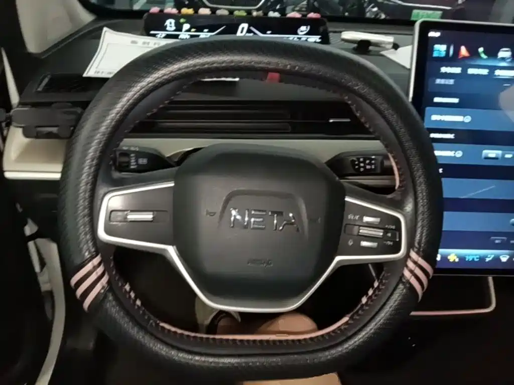Neta Neta V — миниатюра 11
