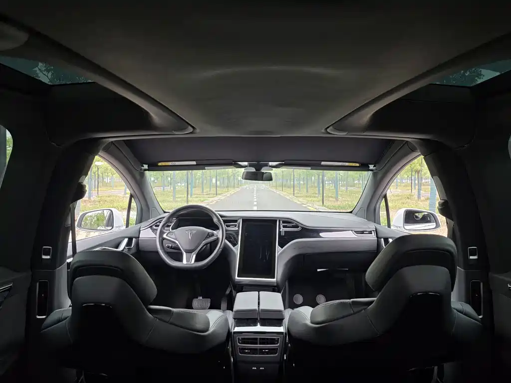 Tesla Model X — миниатюра 15
