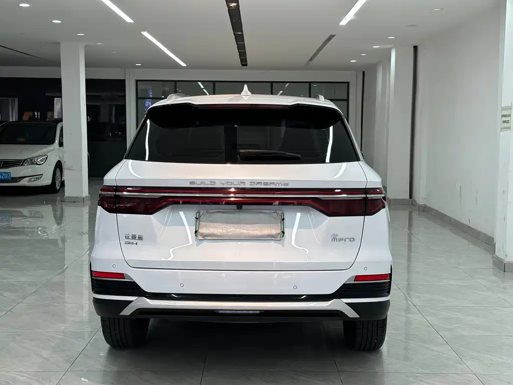 BYD SONGJIANG NEW ENERGY