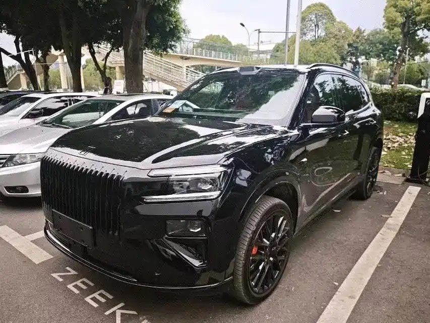 Zeekr 极氪8X