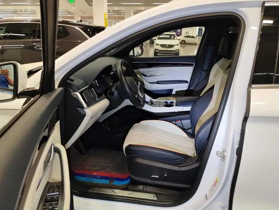 BYD PLUS New Energy — миниатюра 9