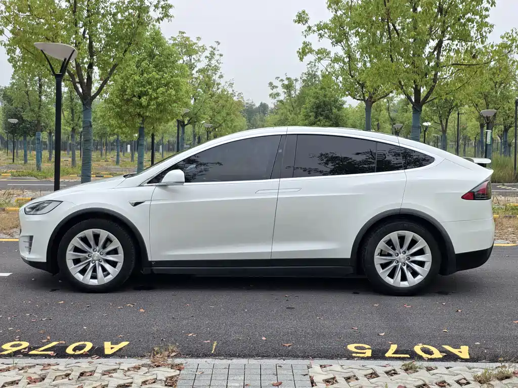 Tesla Model X — миниатюра 8