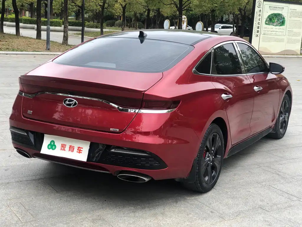 Hyundai Fista - фото 6