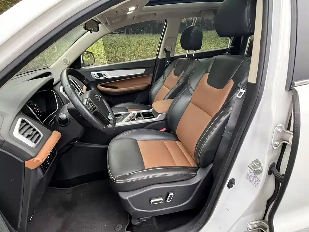 GEELY AUTOMOBILE VISION X6