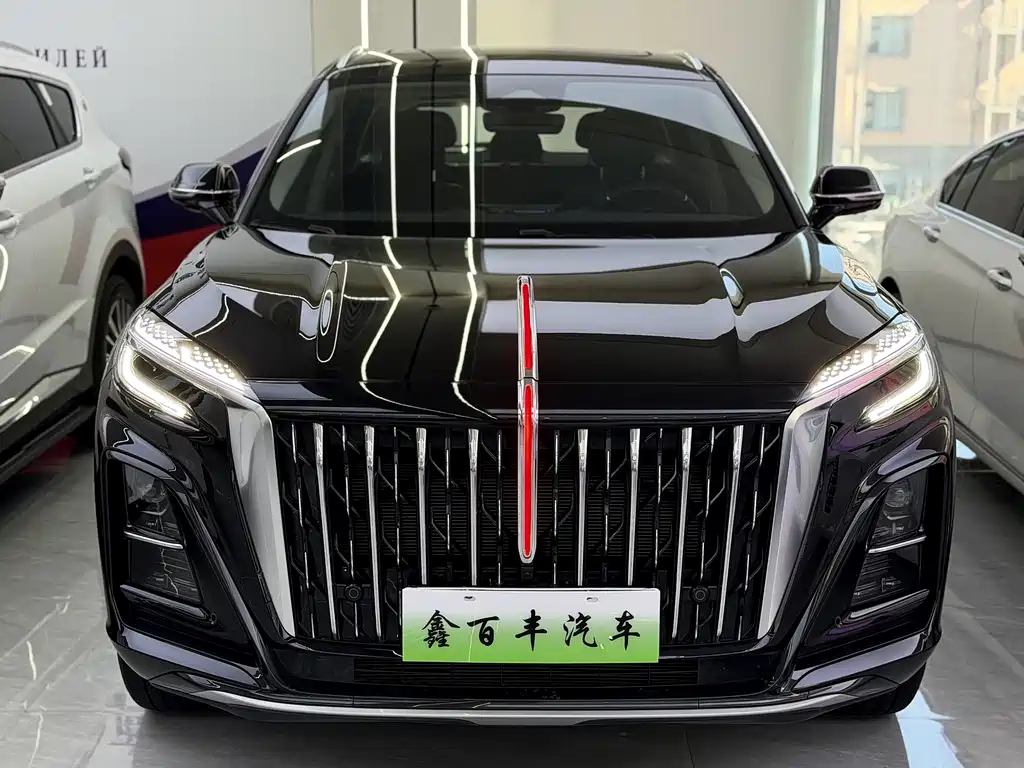 Hongqi Hongqi HS3 PHEV — миниатюра 2