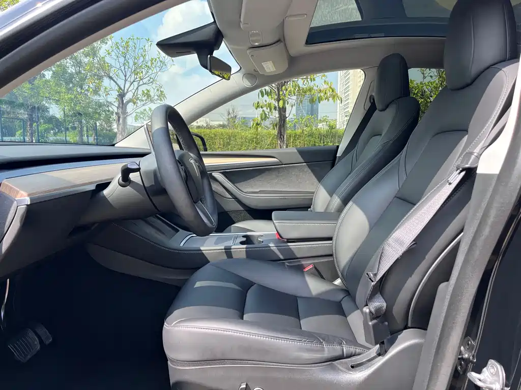 Tesla Model Y — миниатюра 4