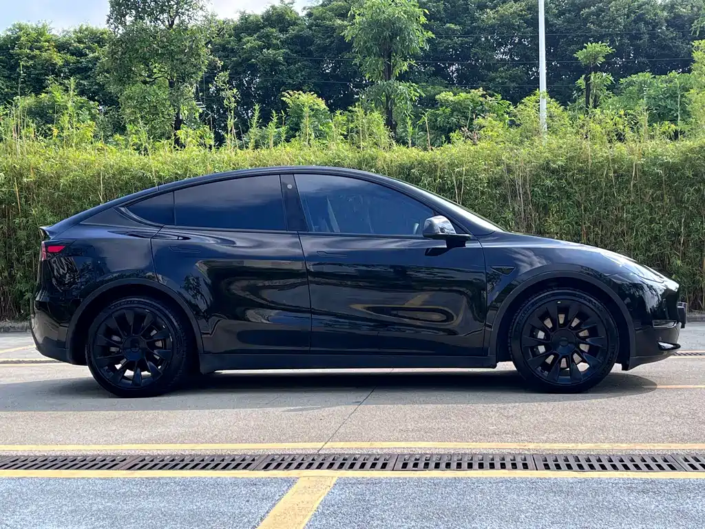 Tesla Model Y — миниатюра 16