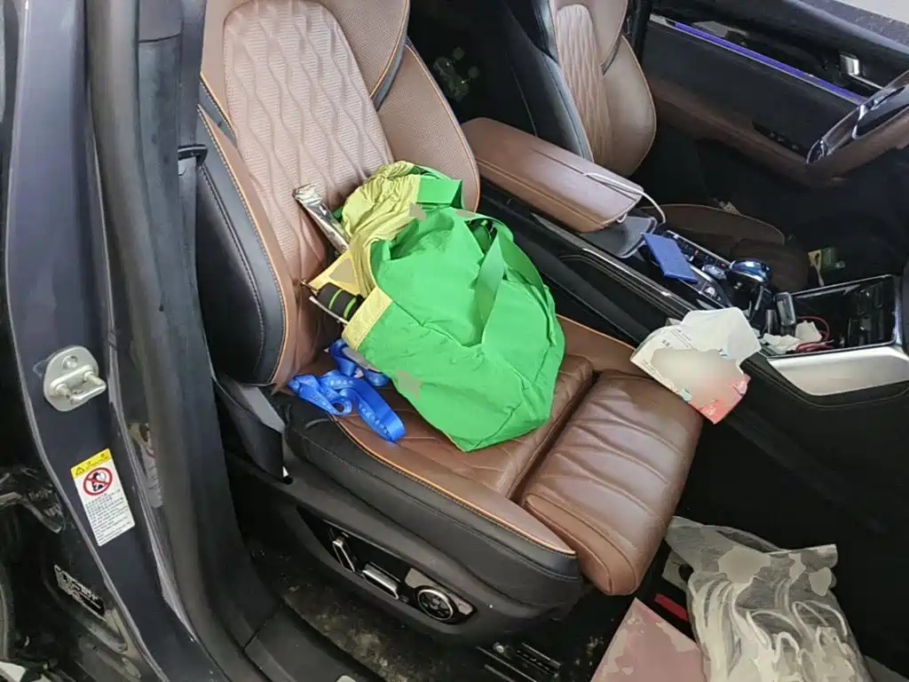 BYD Tang New Energy — миниатюра 25