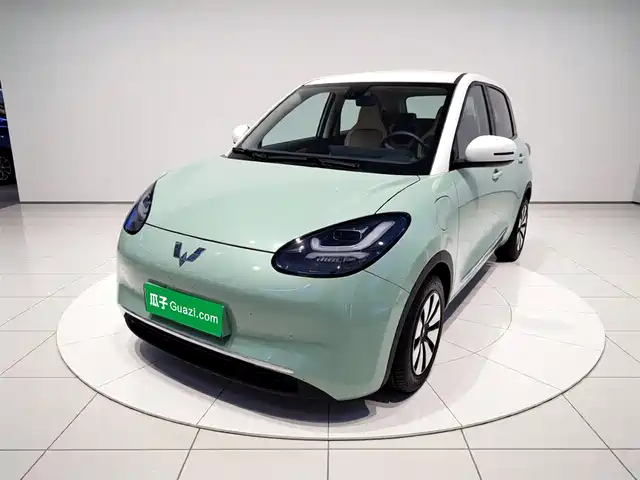 2024 Wuling Motors Binguo
