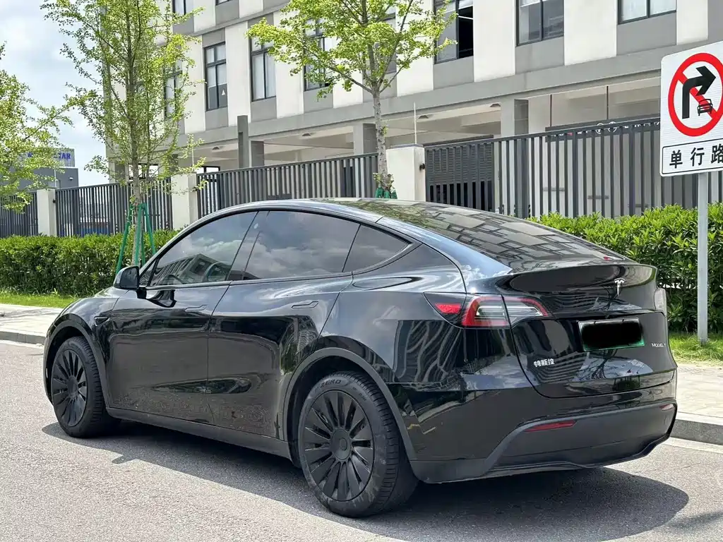 Tesla Model Y — миниатюра 10