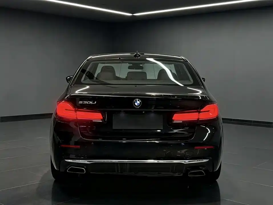BMW 5 Series — миниатюра 5