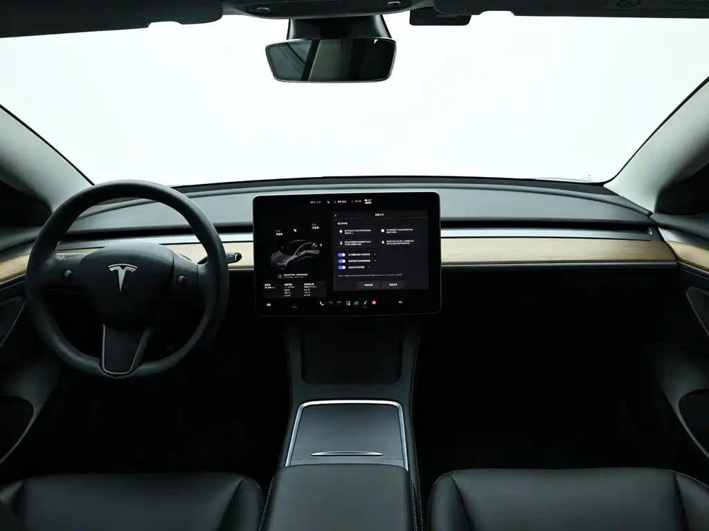 Tesla Model 3 — миниатюра 15
