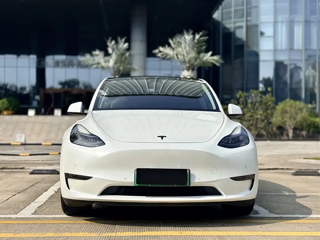 Tesla Model Y — миниатюра 2