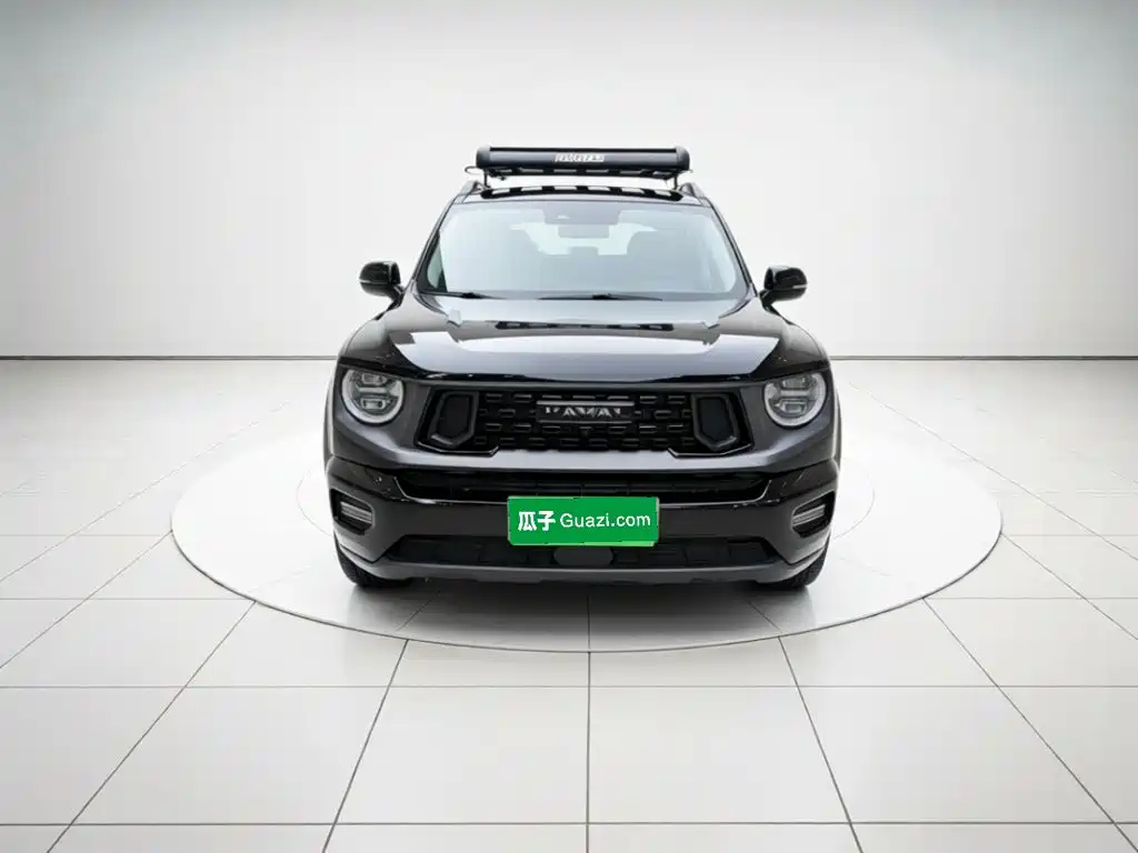Haval Big Dog PLUS New Energy — миниатюра 2