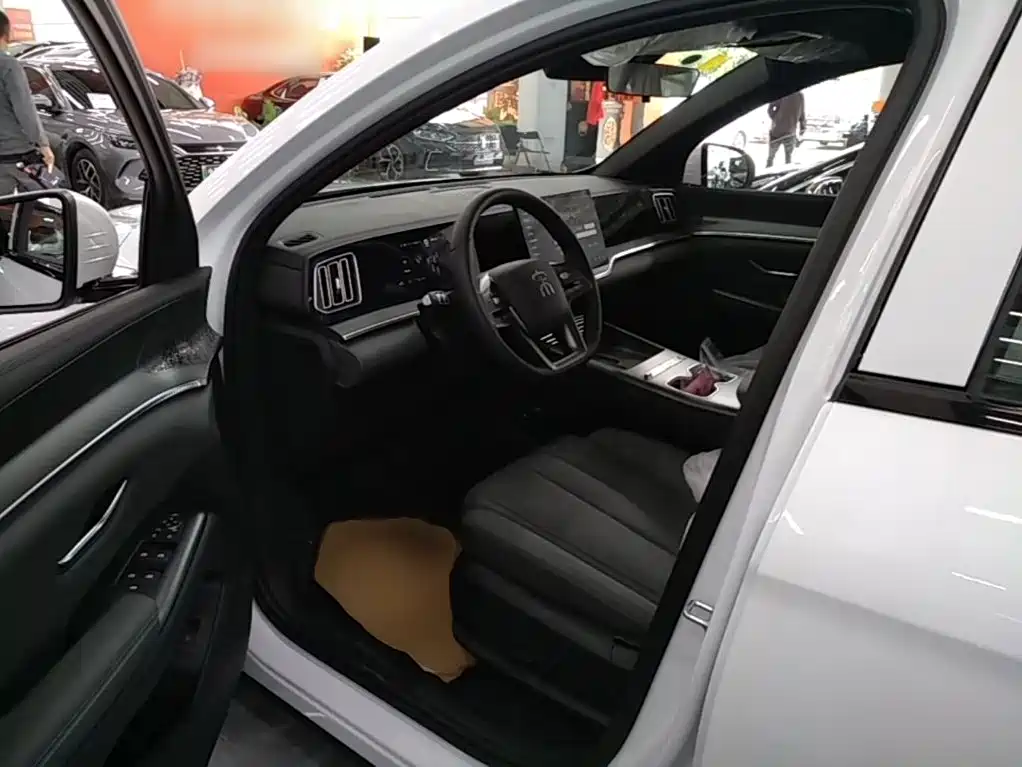 BYD Pro New Energy — миниатюра 15