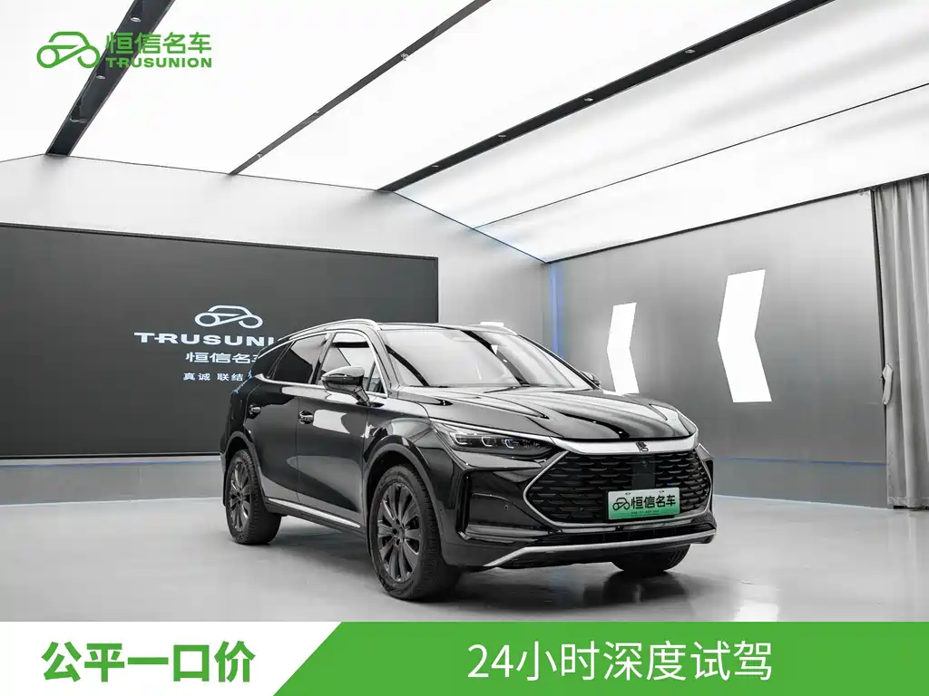 BYD Tang New Energy — миниатюра 3