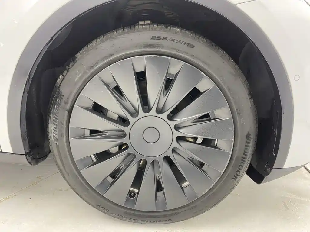 Tesla Model Y — миниатюра 11