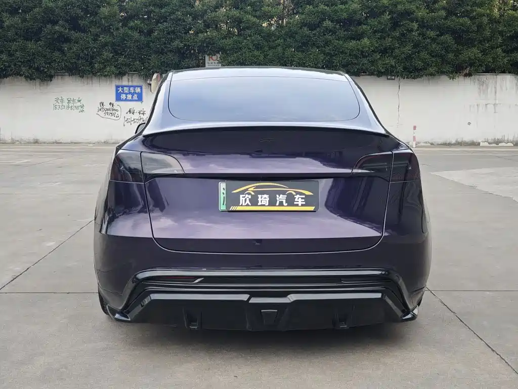 Tesla Model Y — миниатюра 5