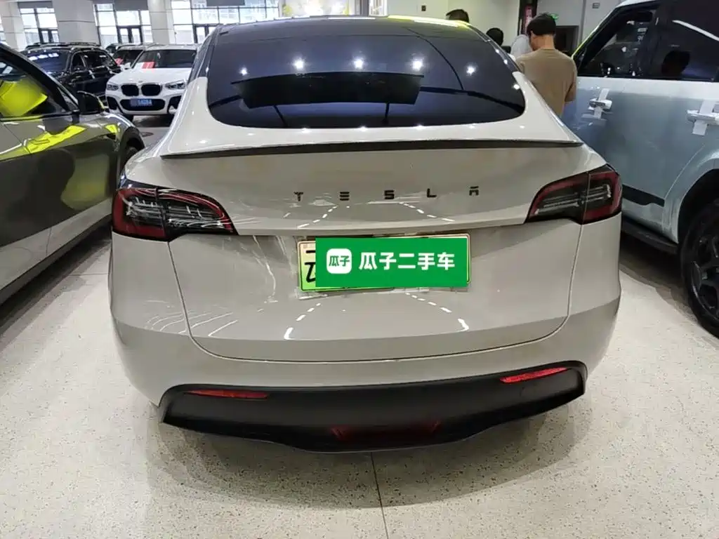 Tesla Model Y — миниатюра 6