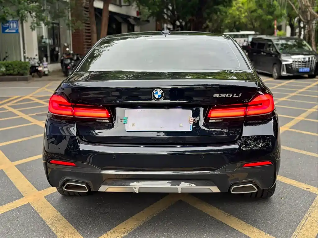 BMW 5 Series — миниатюра 5