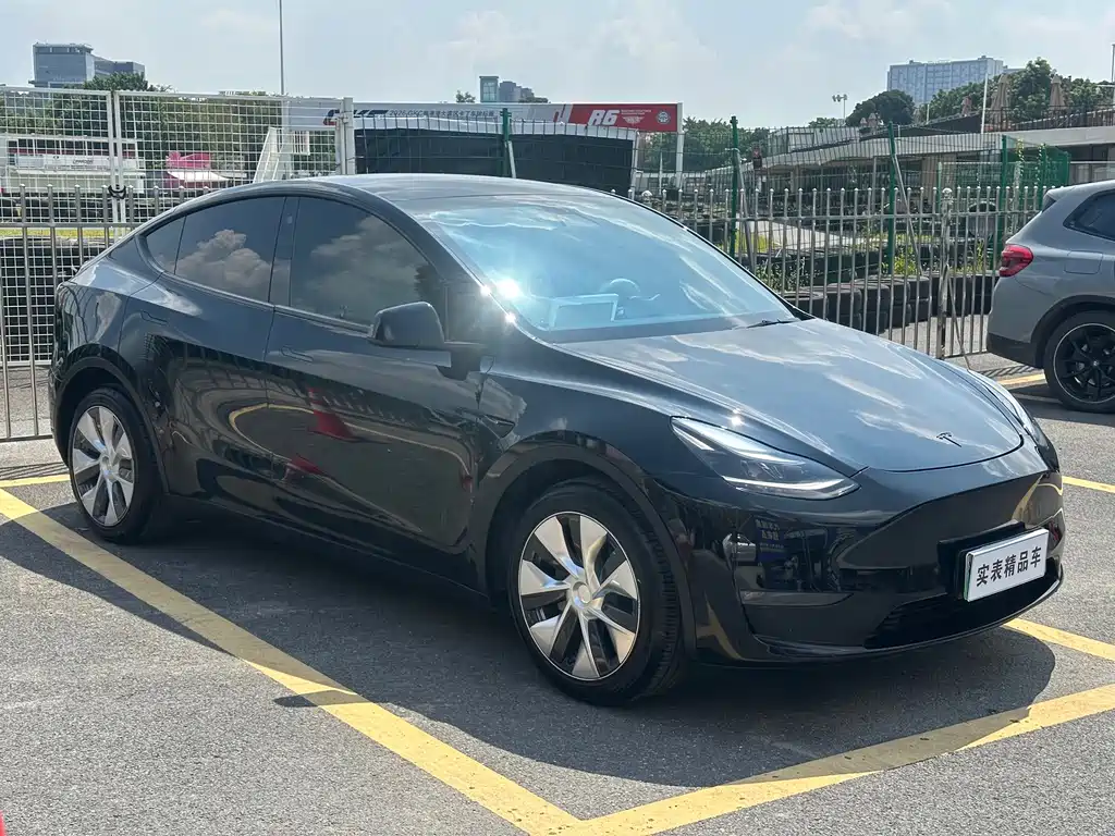 Tesla Model Y — миниатюра 3