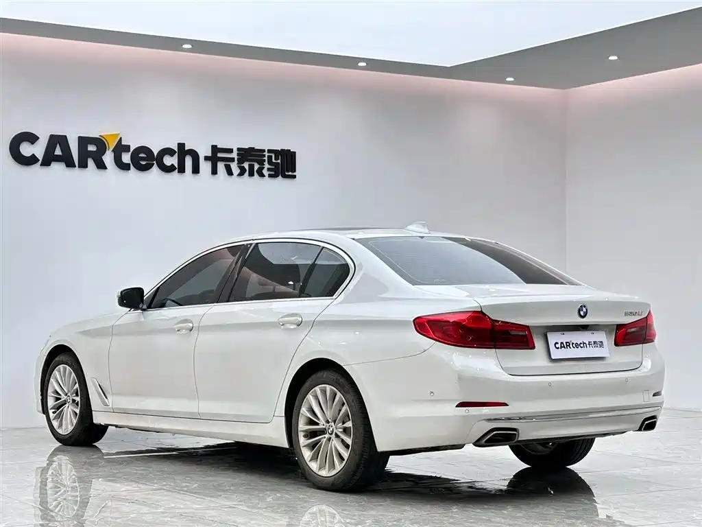 BMW 5 Series 5 2020 530Li Premium Luxury