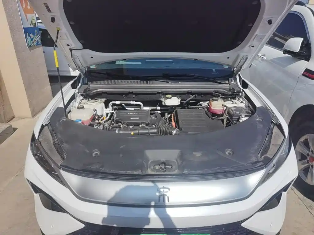BYD Pro New Energy — миниатюра 16