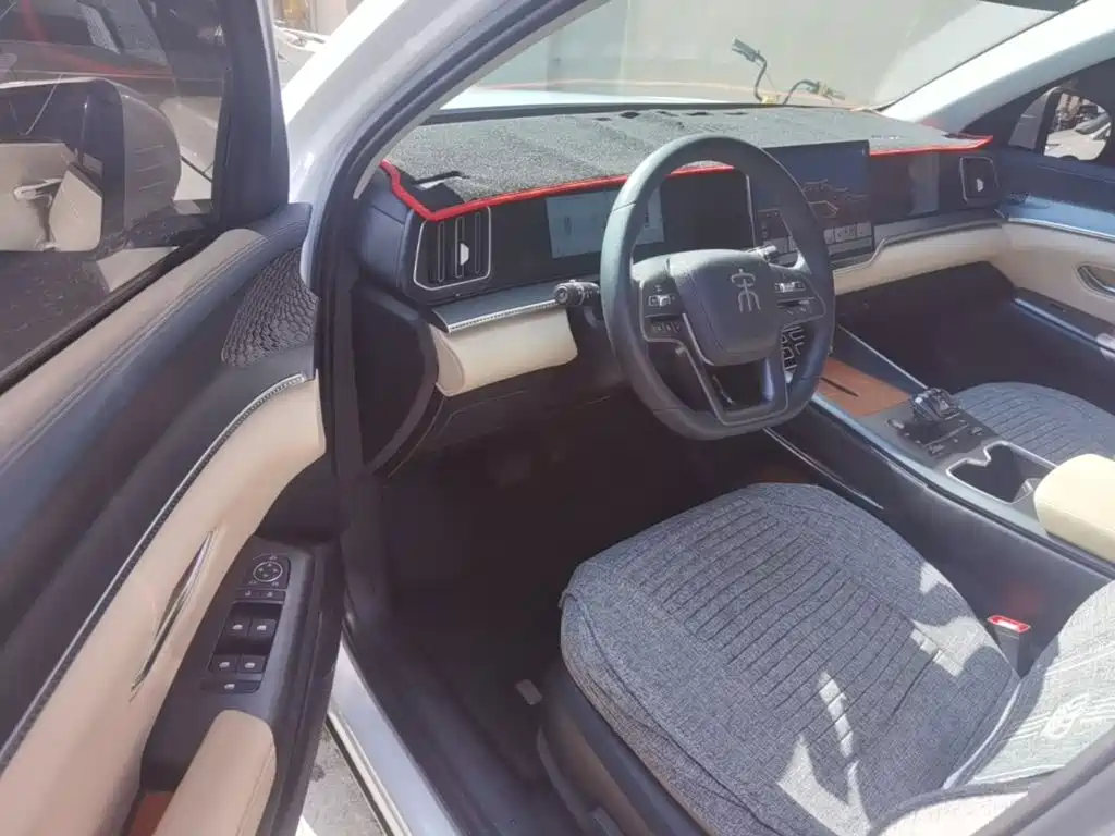 BYD Pro New Energy — миниатюра 12