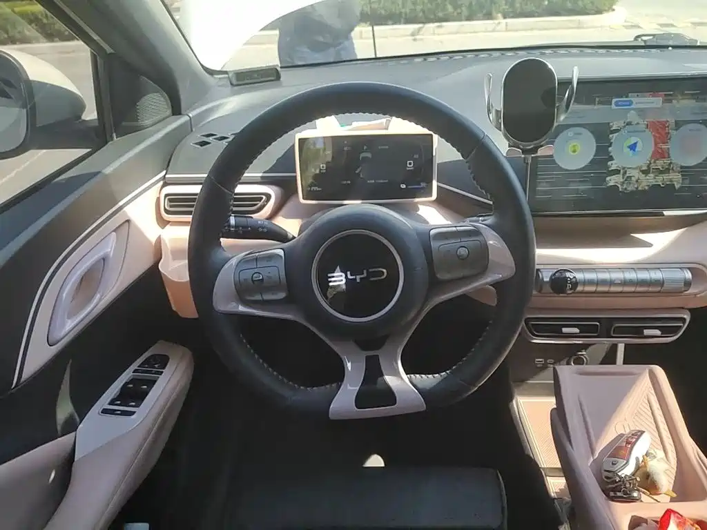 BYD Seagull 2024 305km Freedom
