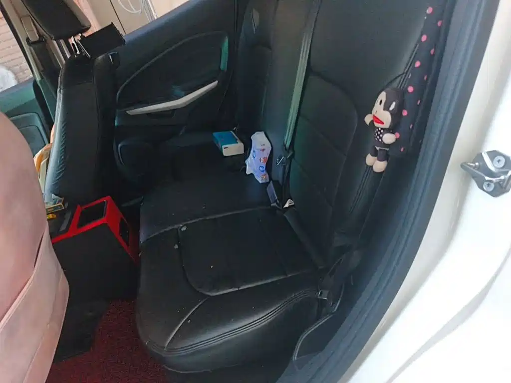 Ford Ecosport — миниатюра 18