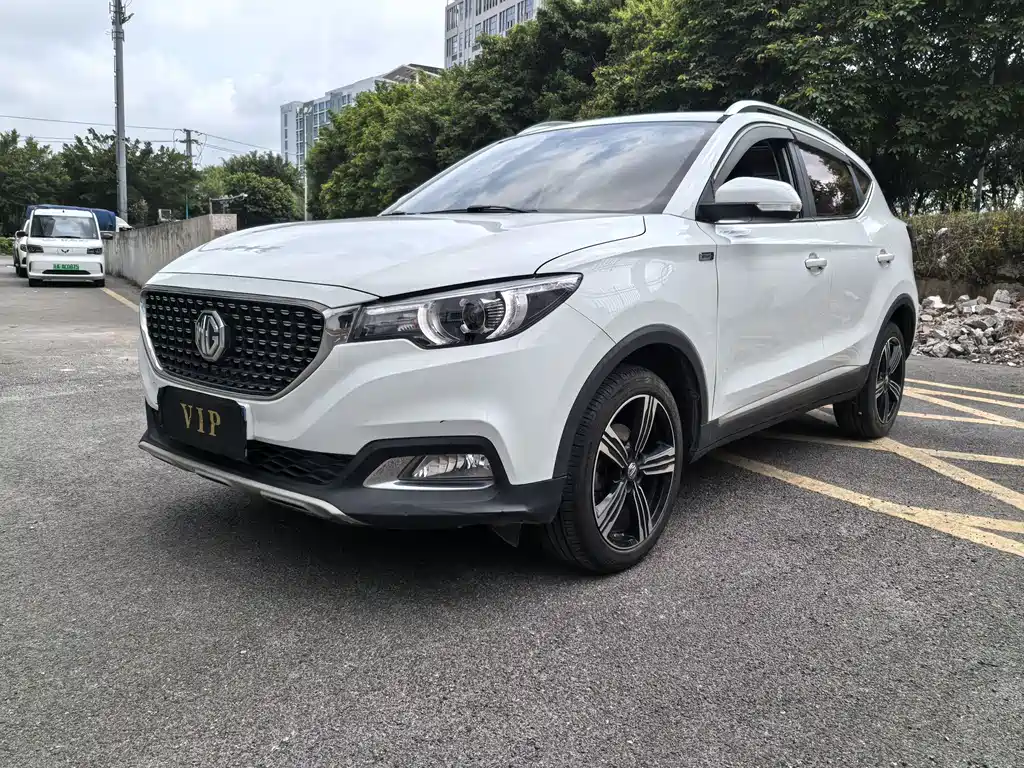 Mg ZS 2018