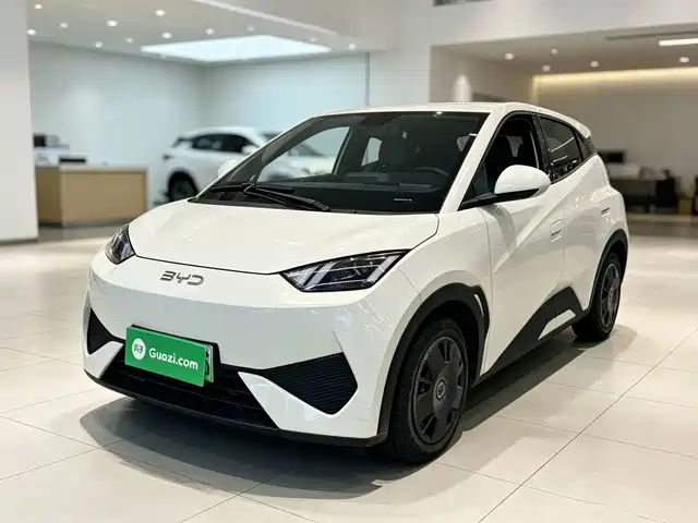 2025 BYD Seagull
